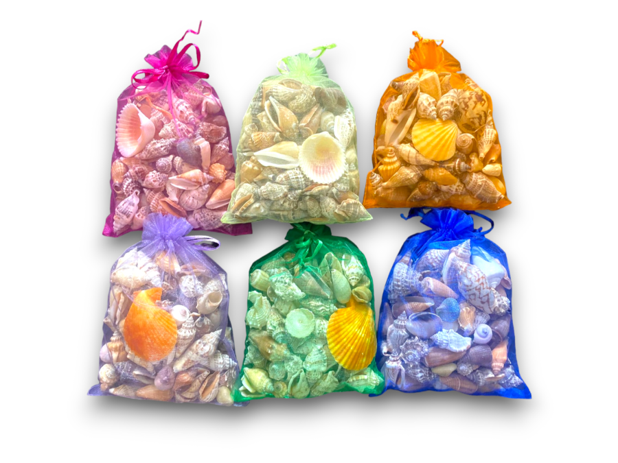 BOLSA CONCHA COLOR pack 20