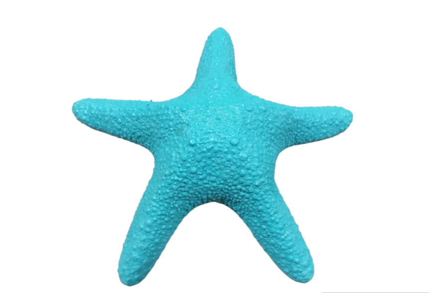 ESTRELLA JUNGLE TURQUESA 15-18cm