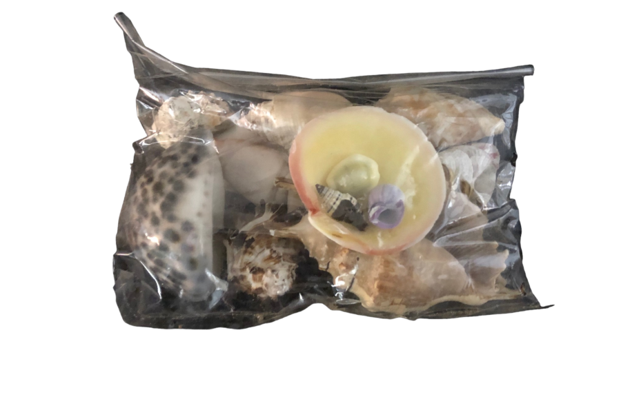 BOLSA SHELL SURTIDAS