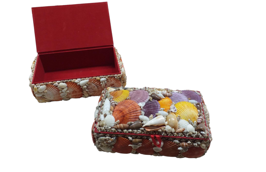 COFRE NASSA PECTEN NOBILIS 25x15x09cm