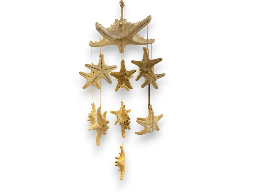 M-17 MOVIL 13 E.FILIPINA NATUR