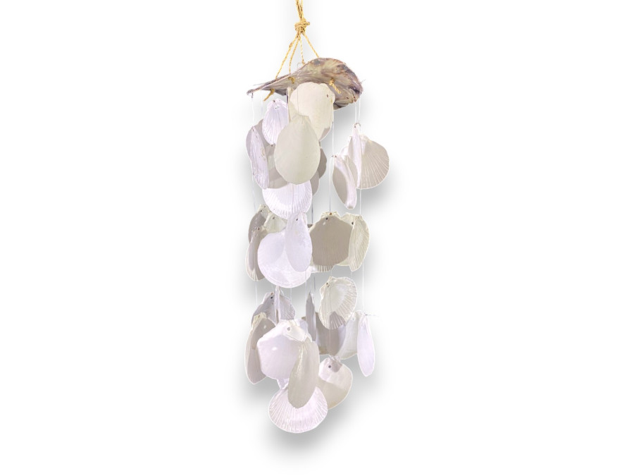 M-2529 OSTREA 13cm+10 TIRAS SUNMOON 45cm pack 6