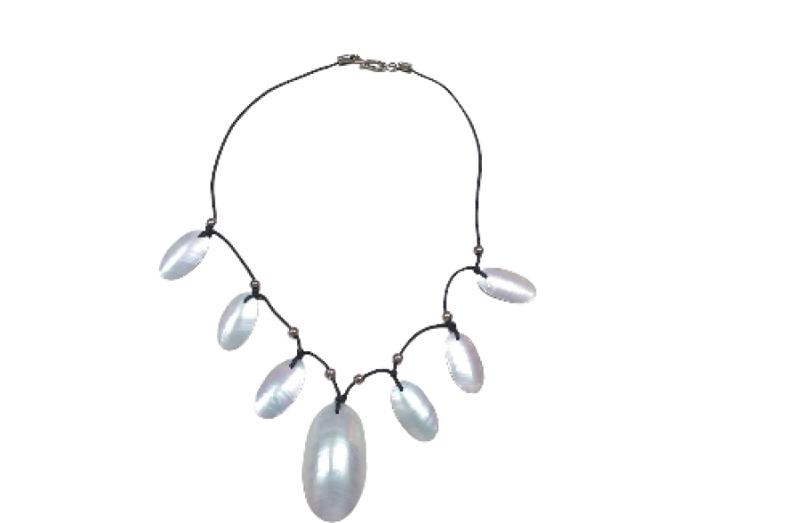 C.M-1503 MULTIOVLAES NACAR