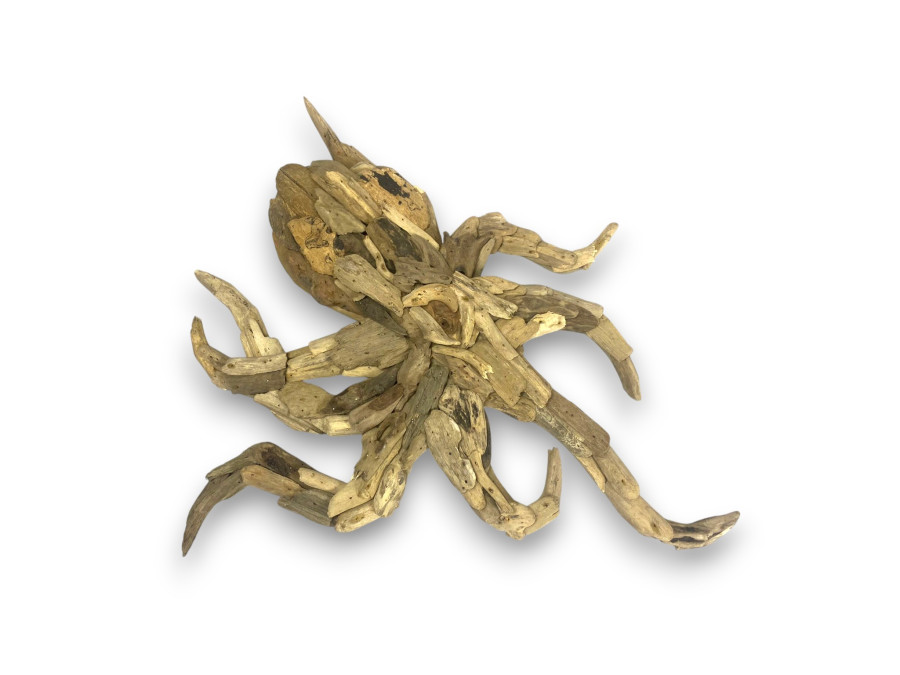 PULPO FLOTAN PARED 60cm