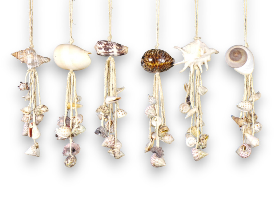 D-11 DECO CUERDA TRENZ SHELL 25cm 6 mod. pack 12