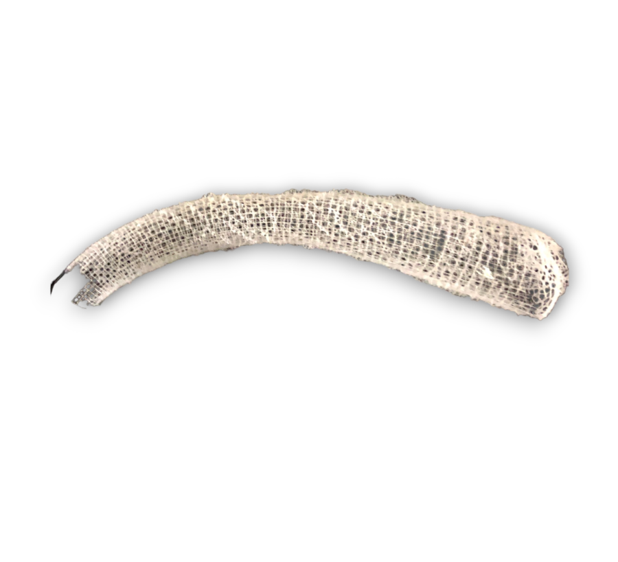 VENUS FLOR BASKET 20cm