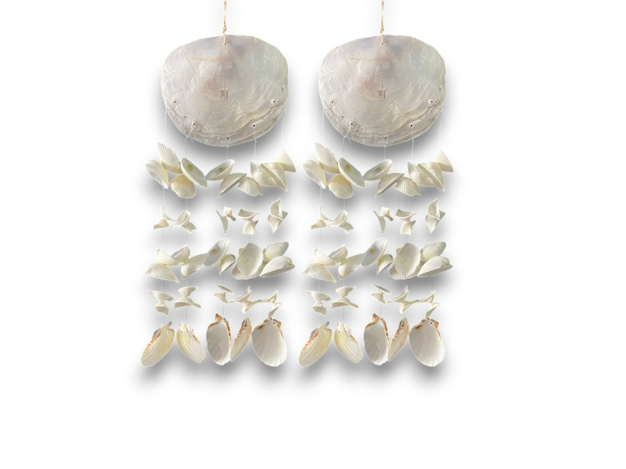D-2503 DECO OSTREA BLANCA SHELLS Pack 6