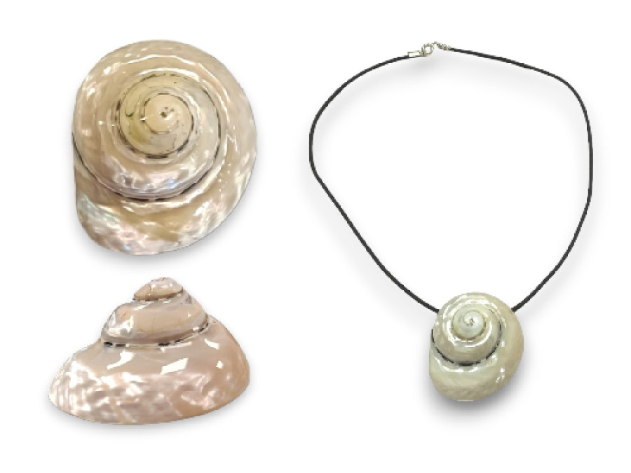 COLGTE.PICA NACAR 45mm