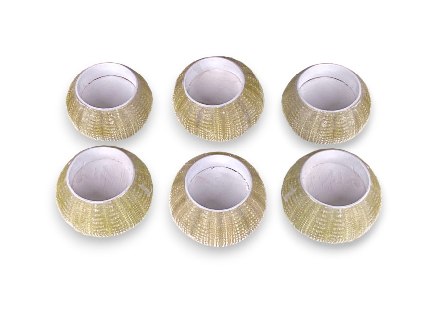 VELA ERIZO VERDE 06cm pack 06