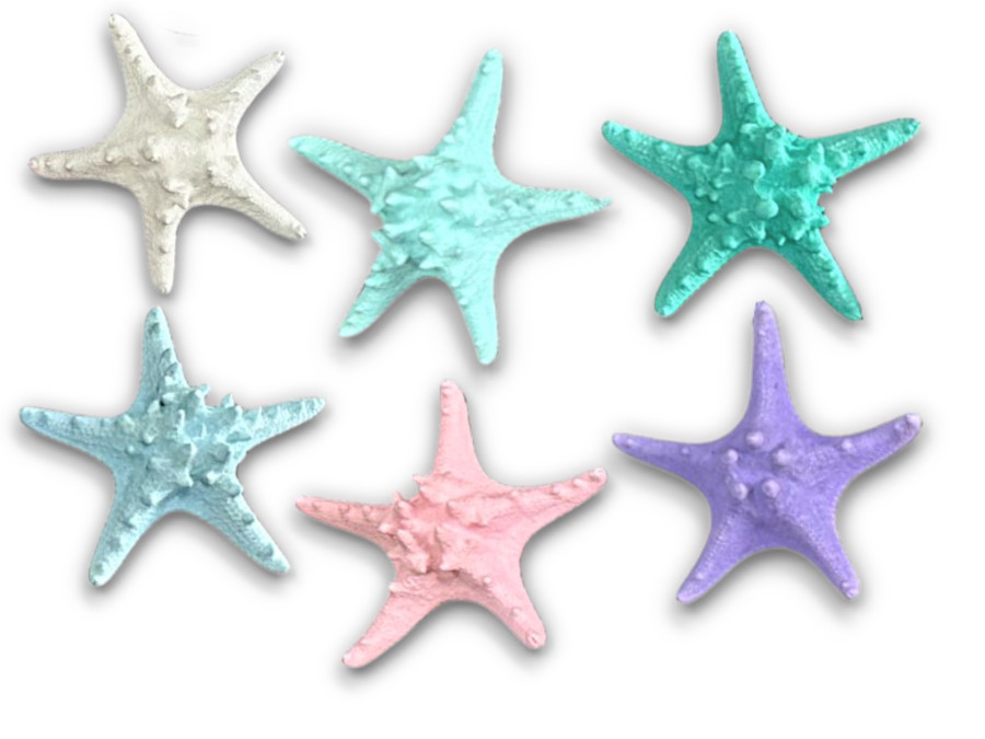 ESTRELLA FILIPINA LILA 18cm