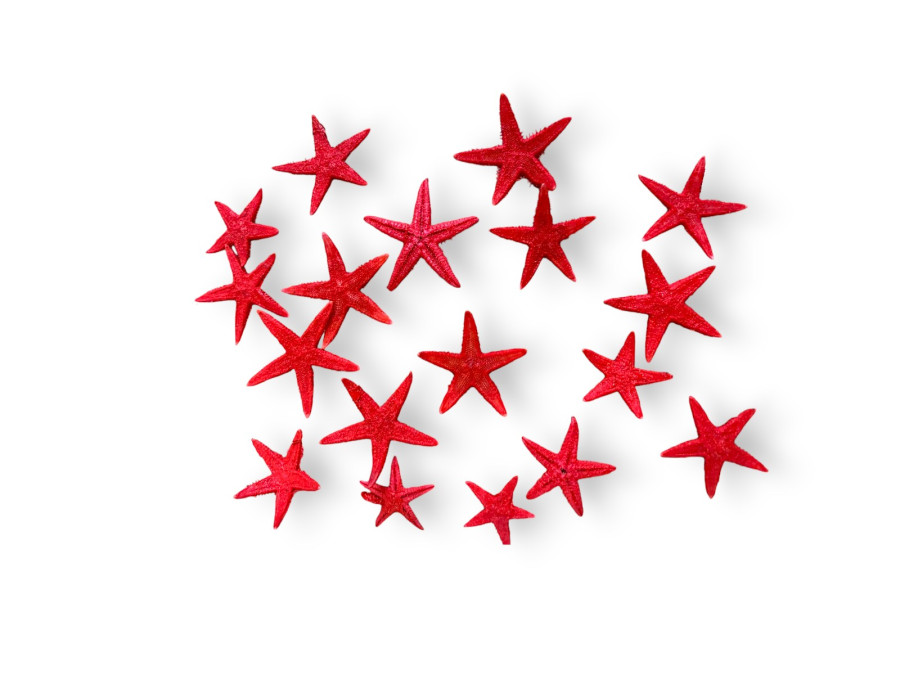 BOLSA FLAT ENANA roja 01-02cm (bolsa 500pcs)