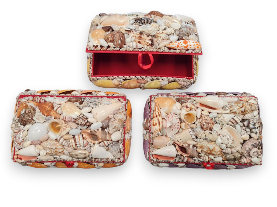 COFRE CONCHAS SURTIDAS 25x15x09cm