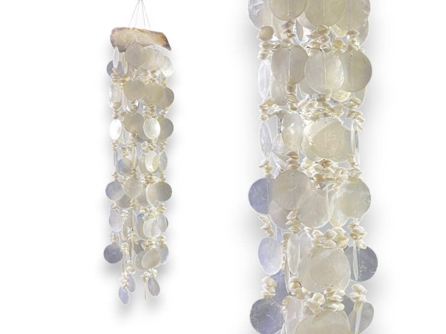 M-2519 OSTREA 13cm CAPIZ BLCO.+CLAM ROSE 60cm