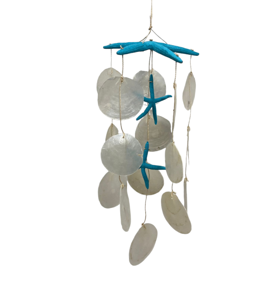 MOVIL E.DEDOS TURQUESA  CAPIZ