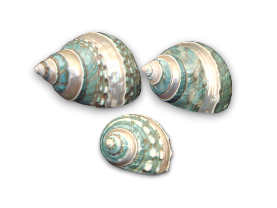 TURBO BANDET IMPERIAL