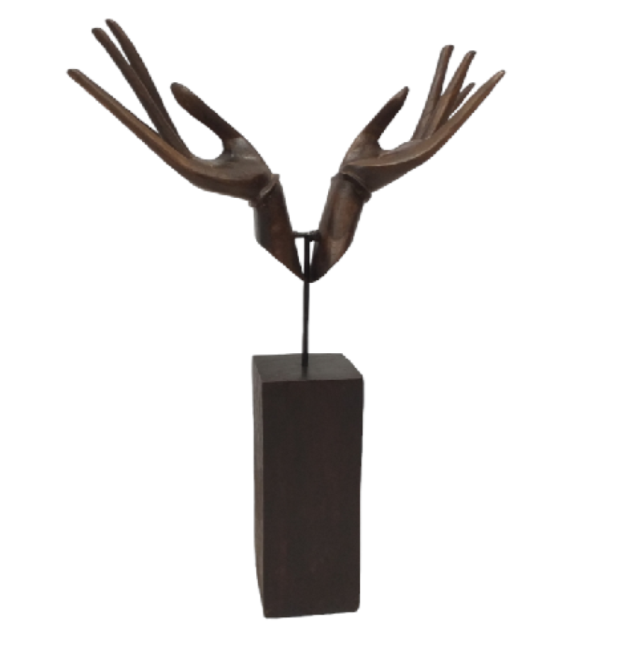 EXPOSITOR DOBLE MANO