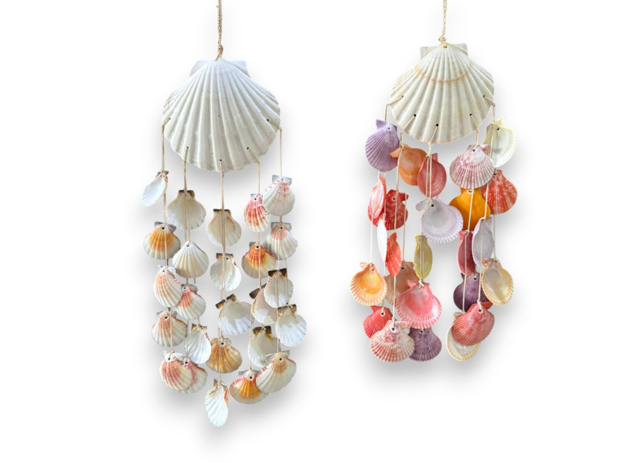 D-50 MOVIL SCALLOP BLANCO pack 6