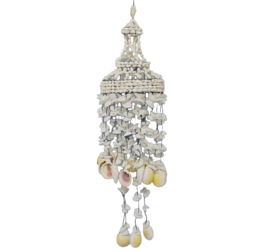 M-87 L.CARACOL NASSA-COCKLES (Dmtro.12cm) 50cm