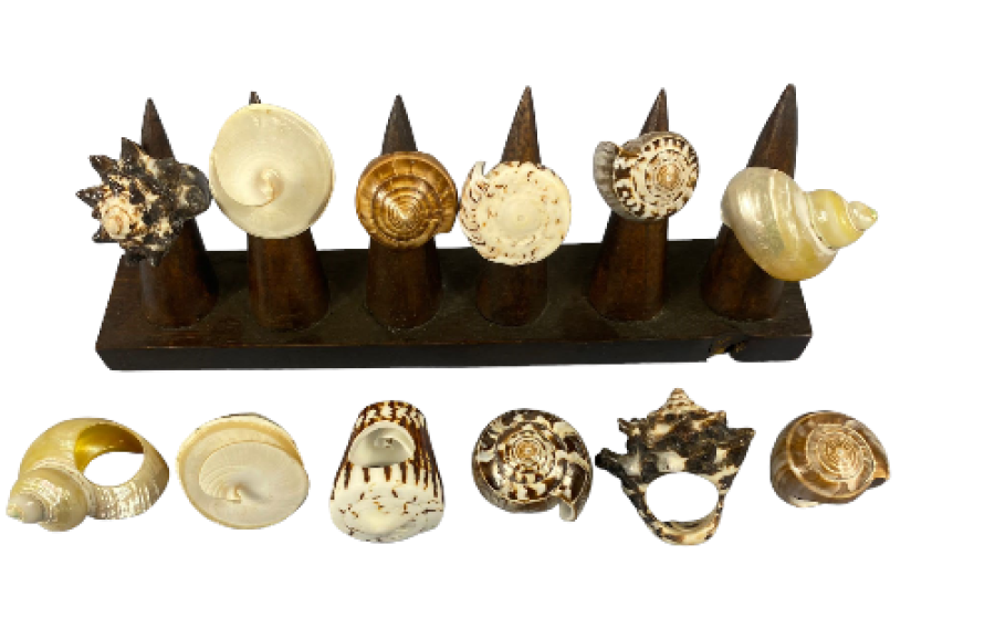 A.MA-23120 CONCHA 6 mod. pack 24