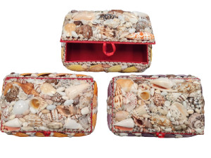 COFRE CONCHAS SURTIDAS 25x15x09cm