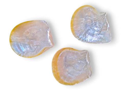 JABONERA MADREPERLA 15cm Pack 6