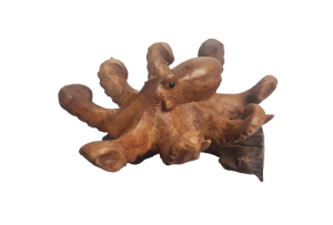 PULPO PARASIT BASE 20cm
