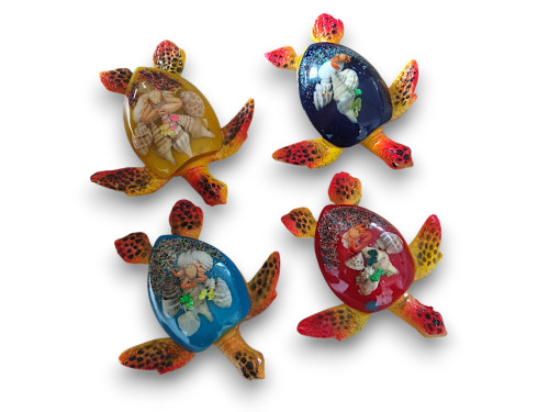 TORTUGA AQUARIO 13cm pack 4