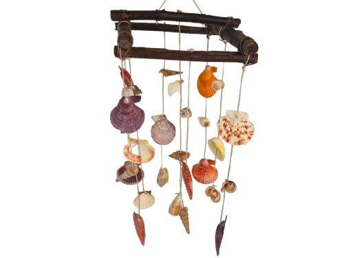 MOVIL CONCHAS pack 4