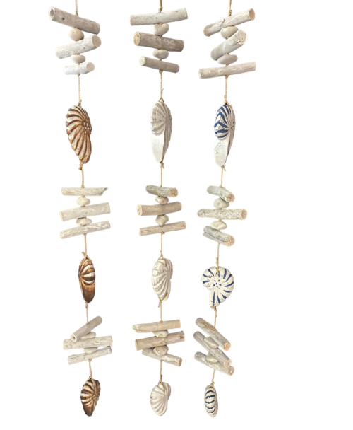 D-30 DECO NAUTILUS 100cm 30 colors pack 6