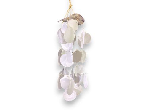 M-2529 OSTREA 13cm+10 TIRAS SUNMOON 45cm pack 6