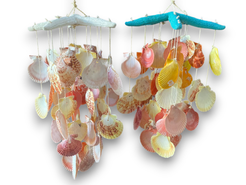 M-15 MOVIL E.DEDOS+PECTEN 2 colores pack 4