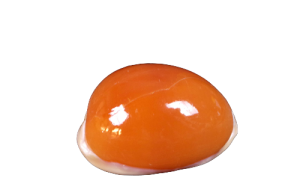 CYPRAEA AURANTIUM 09m