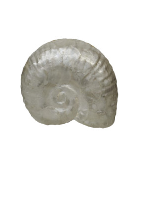 LAMPARA NAUTILUS (ultima unidad)