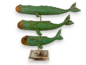 CACHALOTE VERDE 70cm
