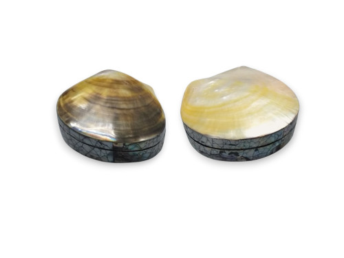 CAJA SHELL MOP BLCA/ NEGRA 10-12cm (bolsa 4 unid)