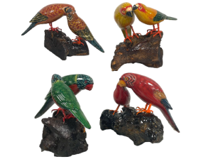 PAREJA LOROS PACK 6