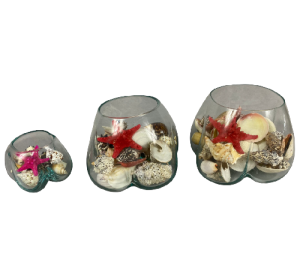 BURBUJA CRISTAL CONCHA 10cm