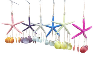 D-13 DECO E.DEDOS PECTEN 30cm 6 colors pack 12