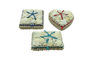 CAJA CONCHA BLCA.DEDOS 12cm pack 6