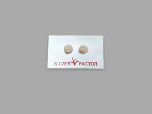 PTE.RI-25002