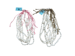 C.CA-24019 NASSA BLANCA CORDON pack 12