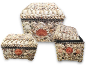 BAUL CONCHA Set 3 Pcs 33x33x33/23x23x23/28x23x20 OUTLET