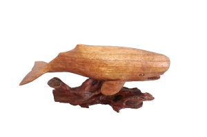 CACHALOTE PARASIT BASE 30cm