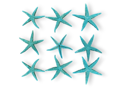 BOLSA E.FLAT TURQUESA 08-10cm bolsa 25