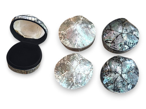 CAJA SHELL AVALON 09-10cm pack 6