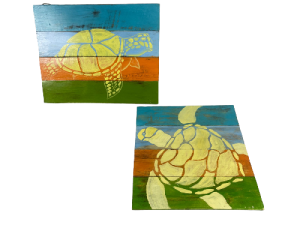 CUADRO TORTUGA 40x40cm