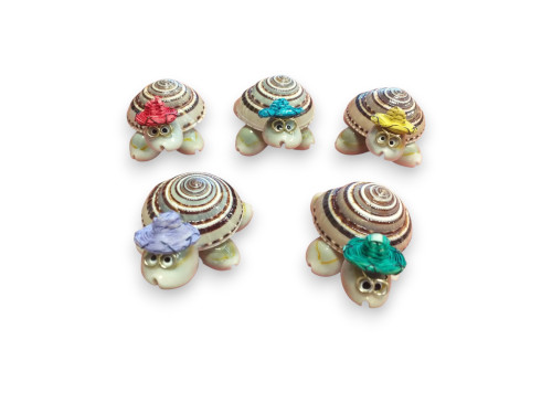 TORTUGA ARQUITECTONICA 04cm 6 colores pack 24