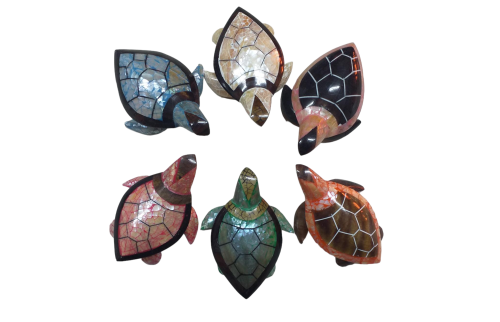 TORTUGA SHELLS 6 COLOR 08cm pack 6