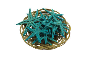 BOLSA E.FLAT TURQUESA 08-10cm bolsa 25