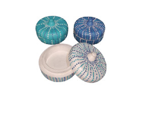 CAJA ERIZO PINTADA 15cm
